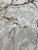 Marsel NP 371 Cream/Vizon Прямоугольник