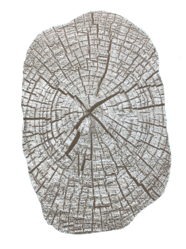 Safir 00839A Brown/Brown Нестандартная