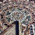 Anatolia 29536_22233 Прямоугольник